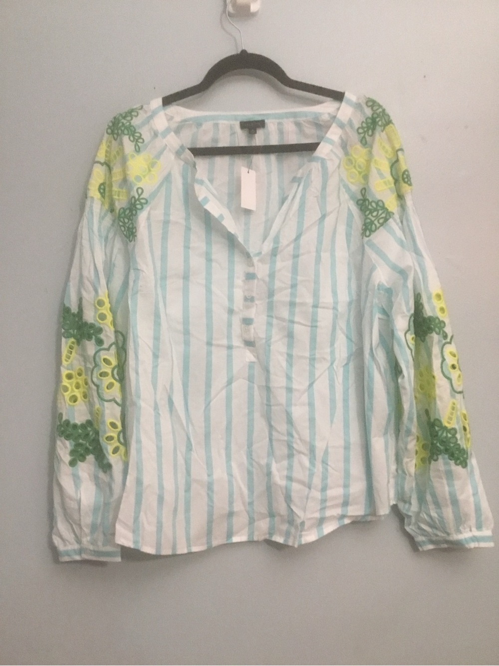 Talbot Light Blue Stripe Embroidered Long-Sleeve Women's Top